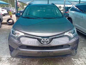 Toyota RAV4 LE AWD (2.5L 4cyl 6A) 2017 Gray