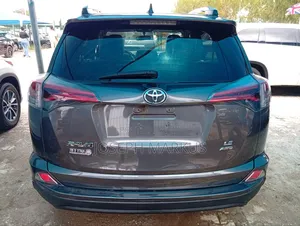 Toyota RAV4 LE AWD (2.5L 4cyl 6A) 2017 Gray