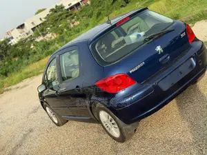 Peugeot 307 2007 Blue