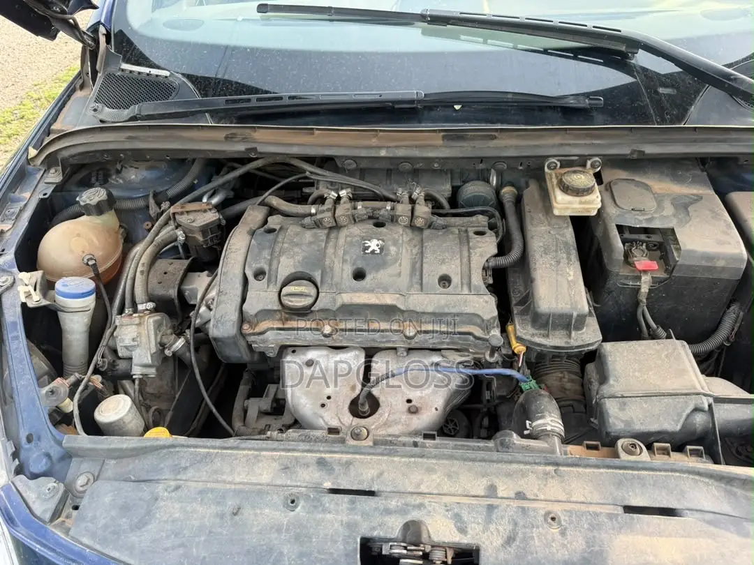 Peugeot 307 2007 Blue