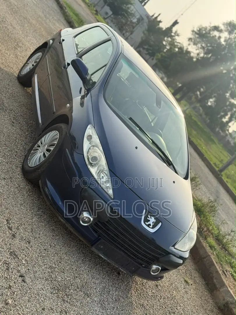 Peugeot 307 2007 Blue