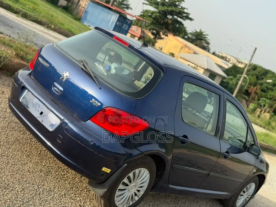 Peugeot 307 2007 Blue