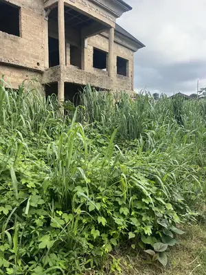 5bed Duplex Forsale At Modomo