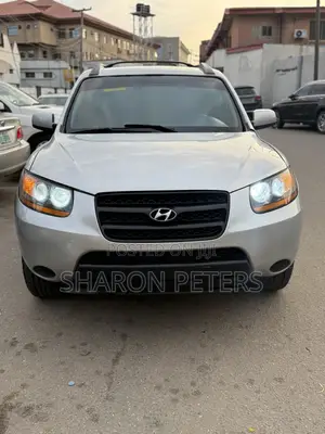 Hyundai Santa Fe 2008 Silver