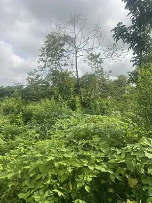 1acre Forsale at Ibadan Express Road