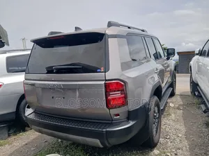Toyota Land Cruiser 2024 Gray