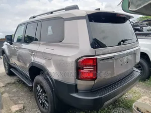 Toyota Land Cruiser 2024 Gray