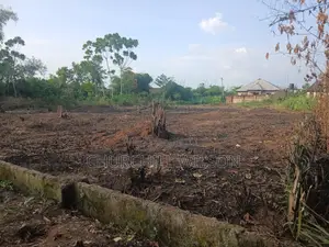 Land Property