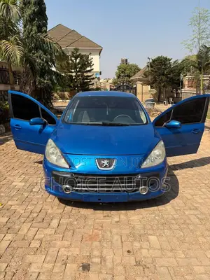 Peugeot 307 2008 Blue