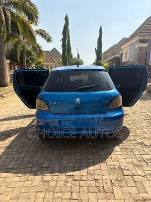 Peugeot 307 2008 Blue