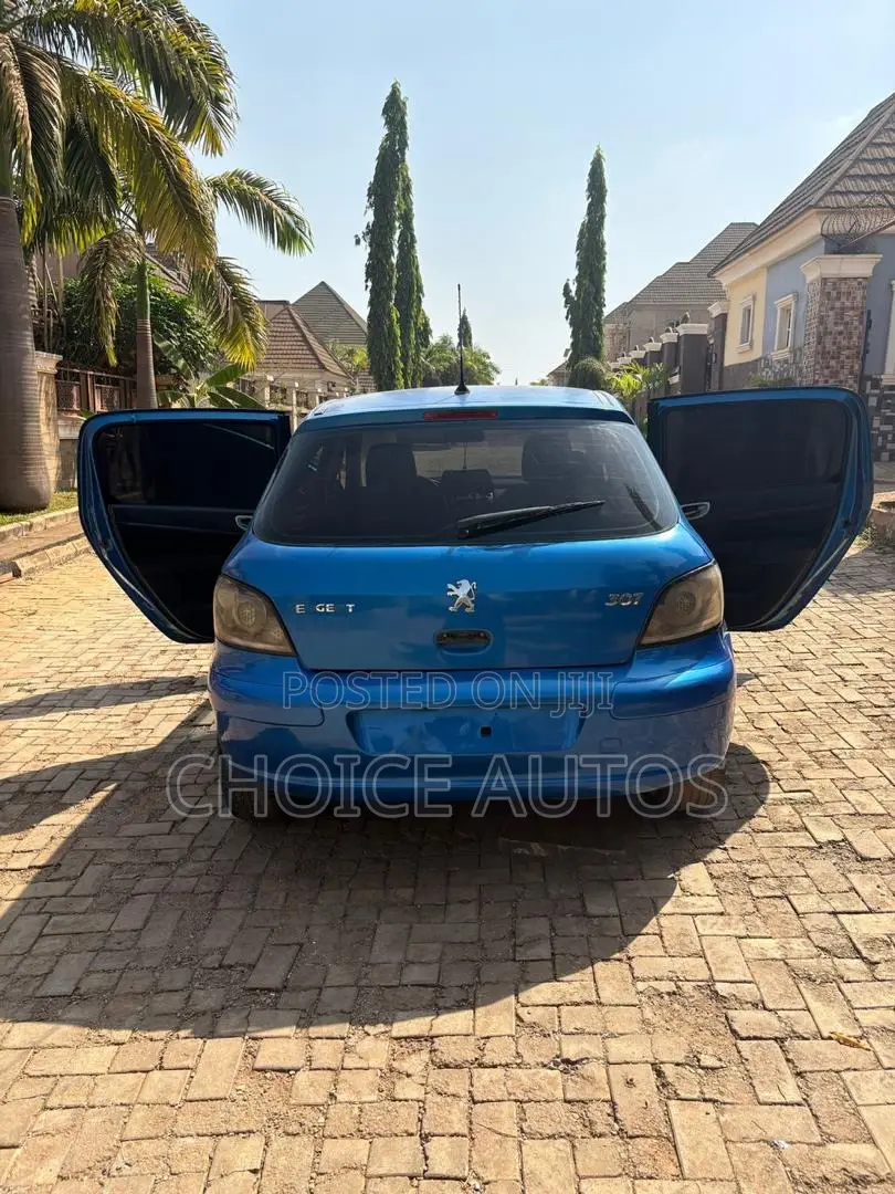 Peugeot 307 2008 Blue