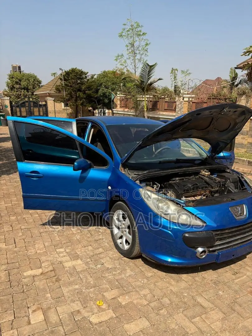 Peugeot 307 2008 Blue