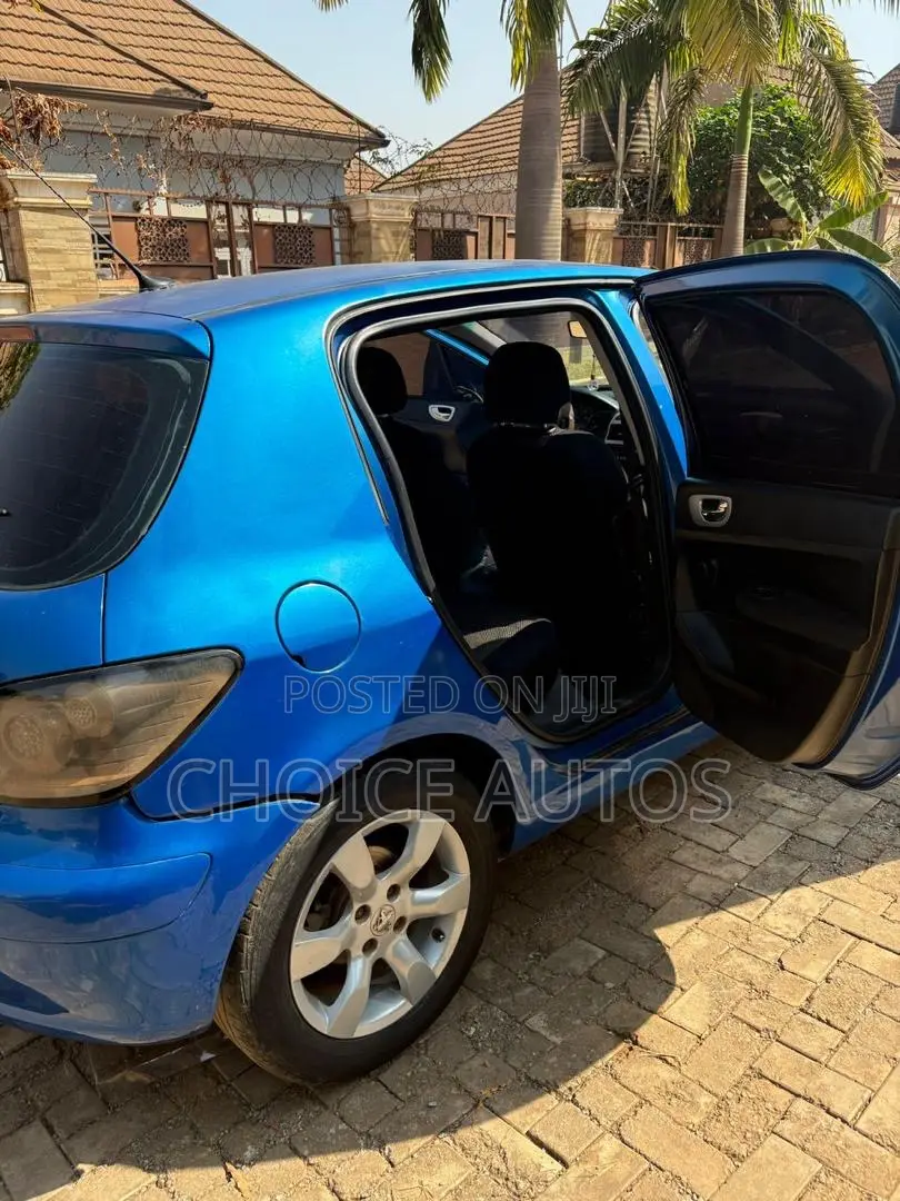Peugeot 307 2008 Blue