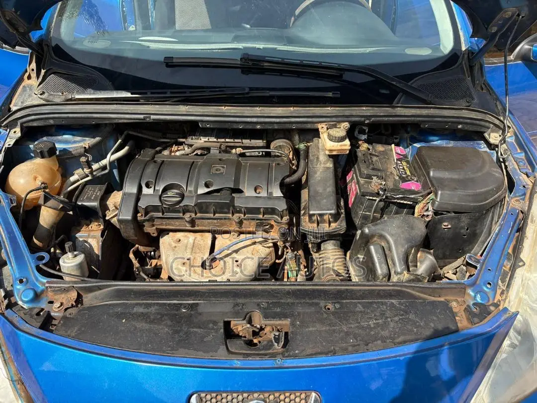 Peugeot 307 2008 Blue