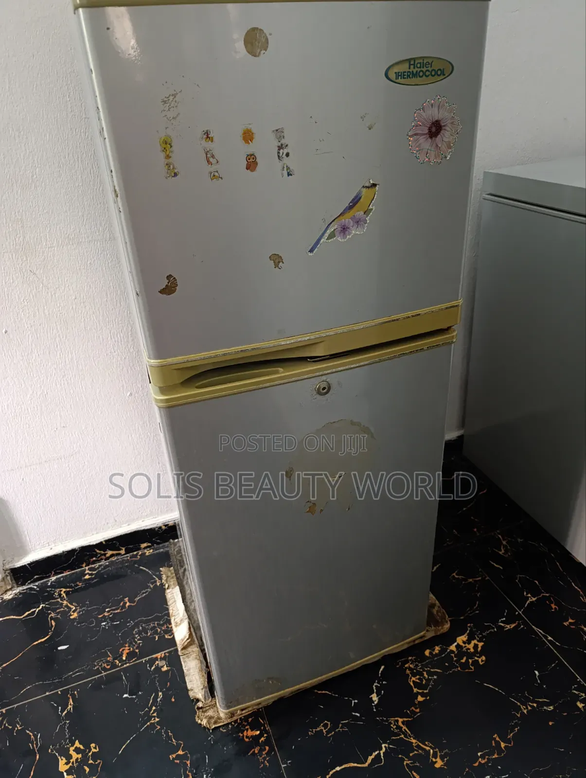 Haier Thermocool