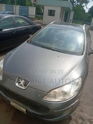 Peugeot 407 2008 Gray
