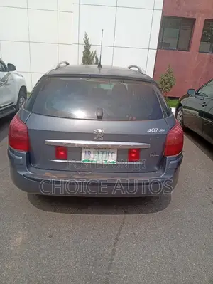Peugeot 407 2008 Gray