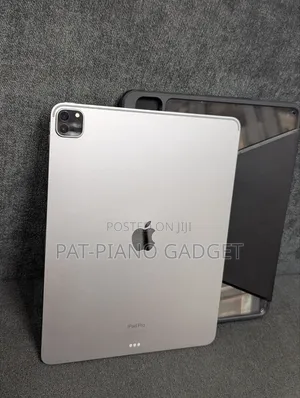 Apple iPad Pro 1 TB Gray
