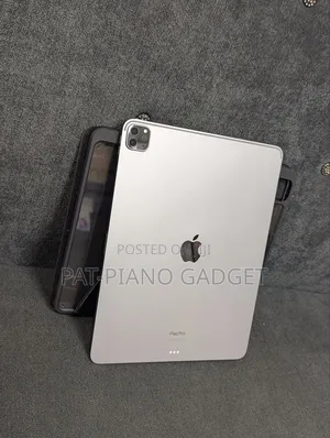 Apple iPad Pro 1 TB Gray