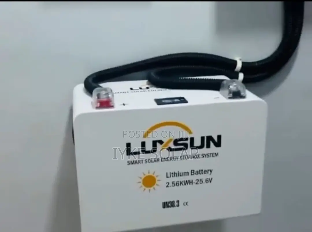 2.5kwh 24v Luxsun Lithium Ion Battery