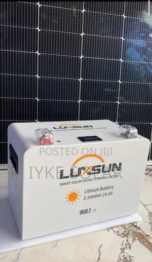 2.5kwh 24v Luxsun Lithium Ion Battery