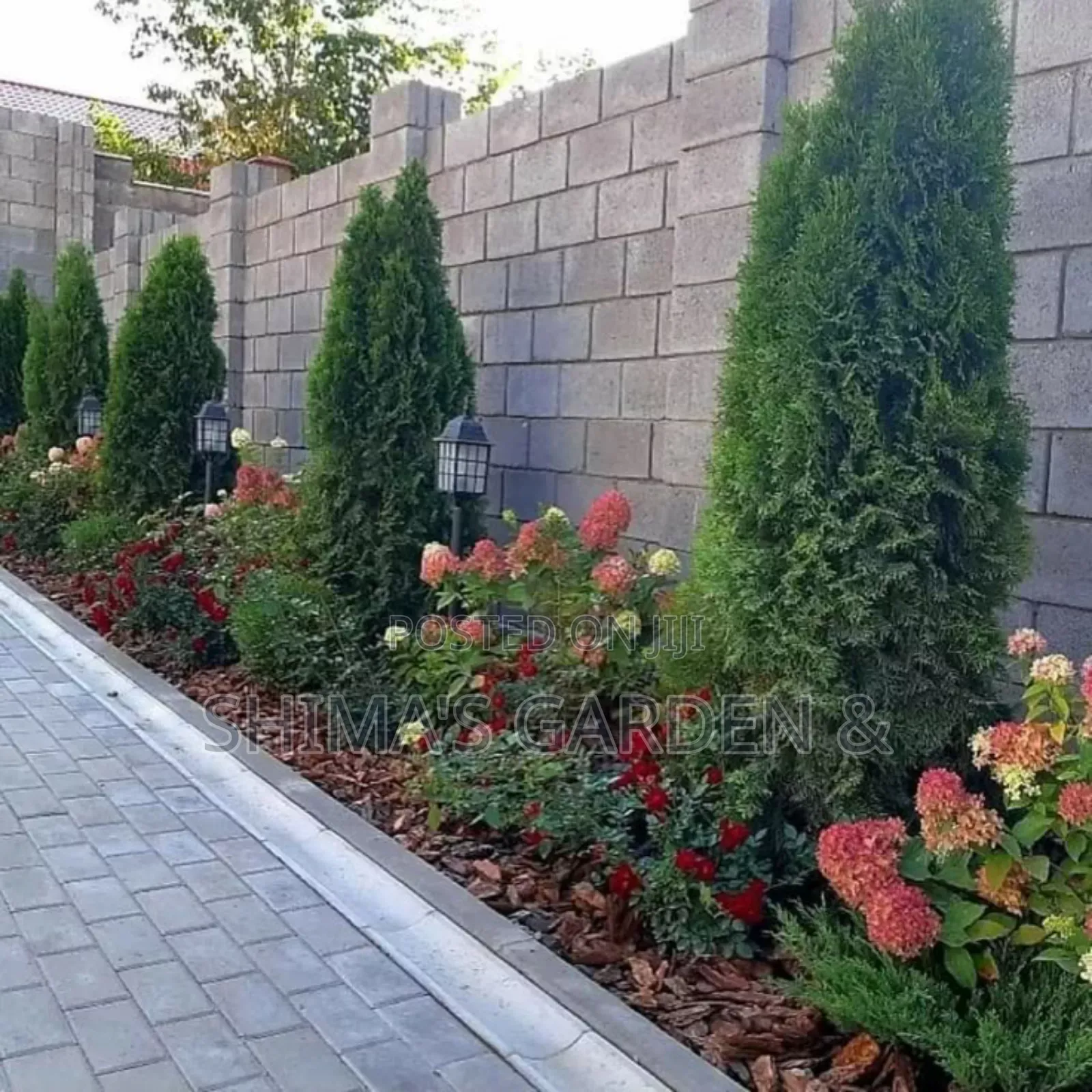 Landscaping Design