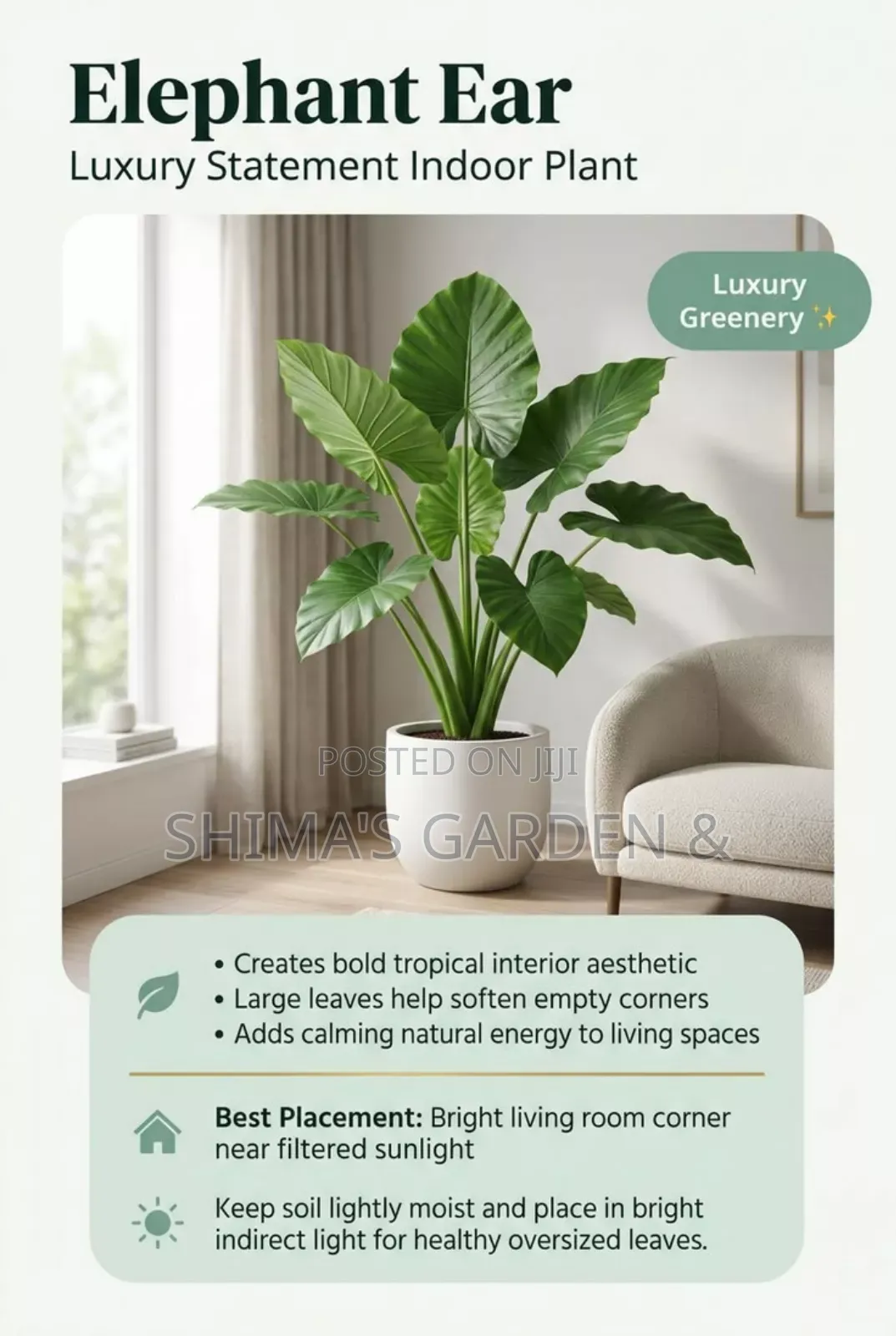 Horticultural Services