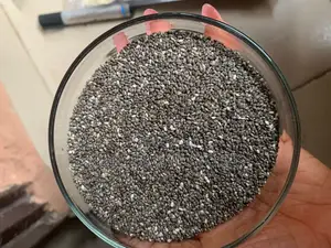 Chia Seeds