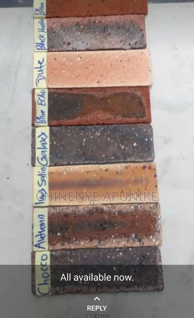 South African Bricks