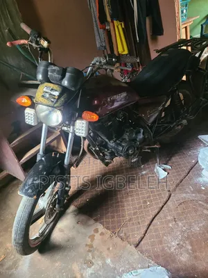 Kymstone Husky 2020 Brown