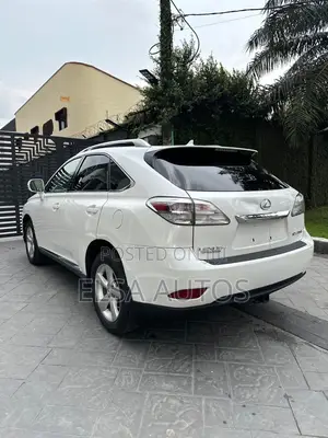 Lexus RX 2010 White