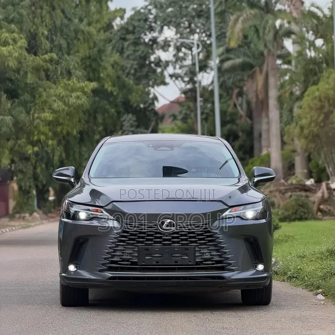 Lexus RX 2024 Gray