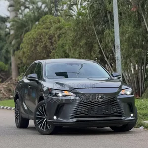 Lexus RX 2024 Gray