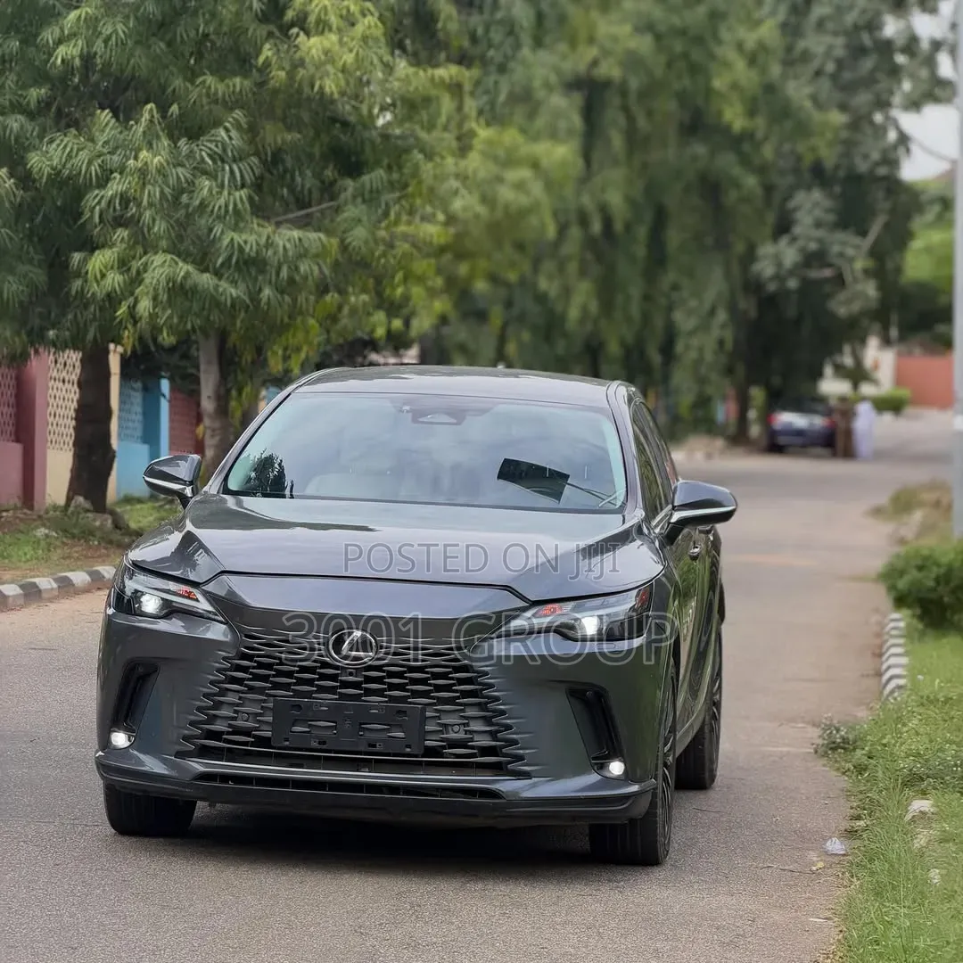 Lexus RX 2024 Gray