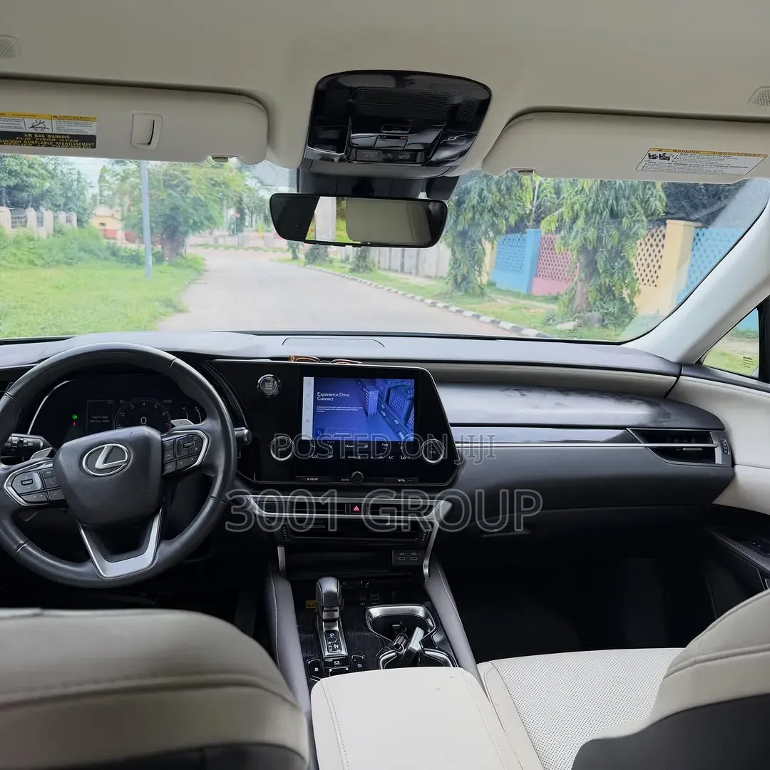 Lexus RX 2024 Gray