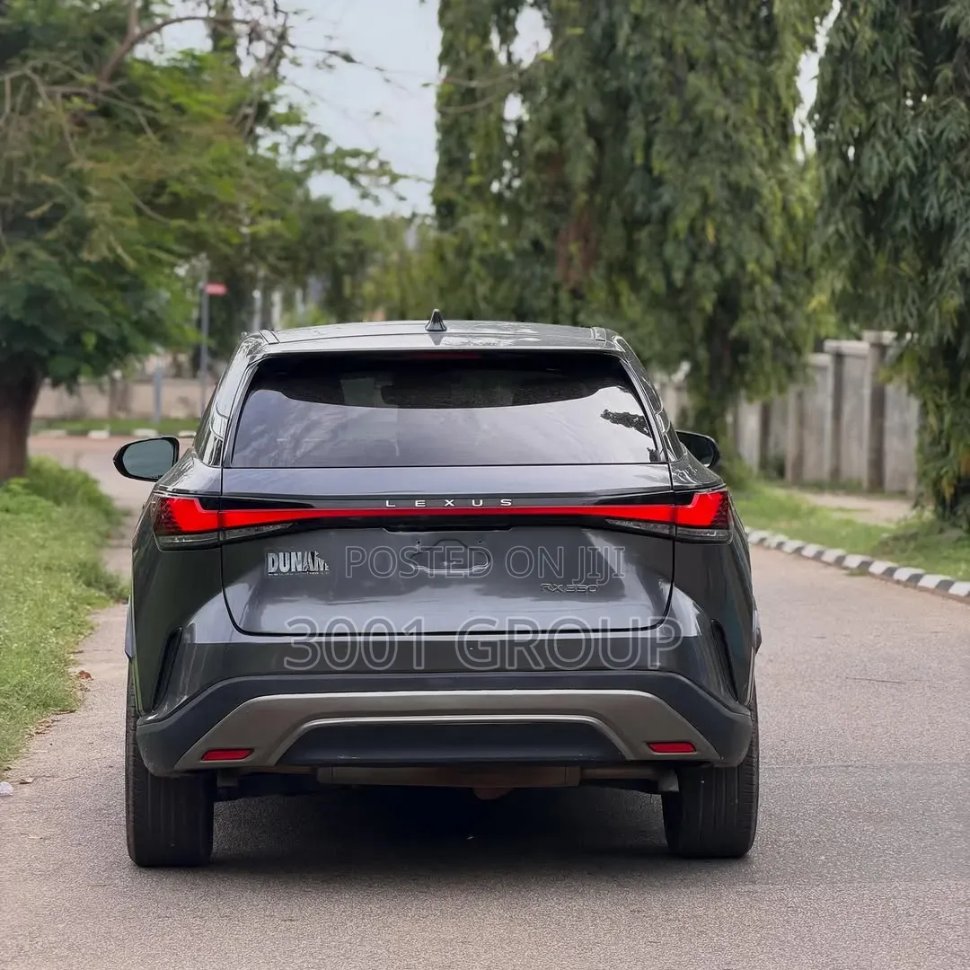 Lexus RX 2024 Gray