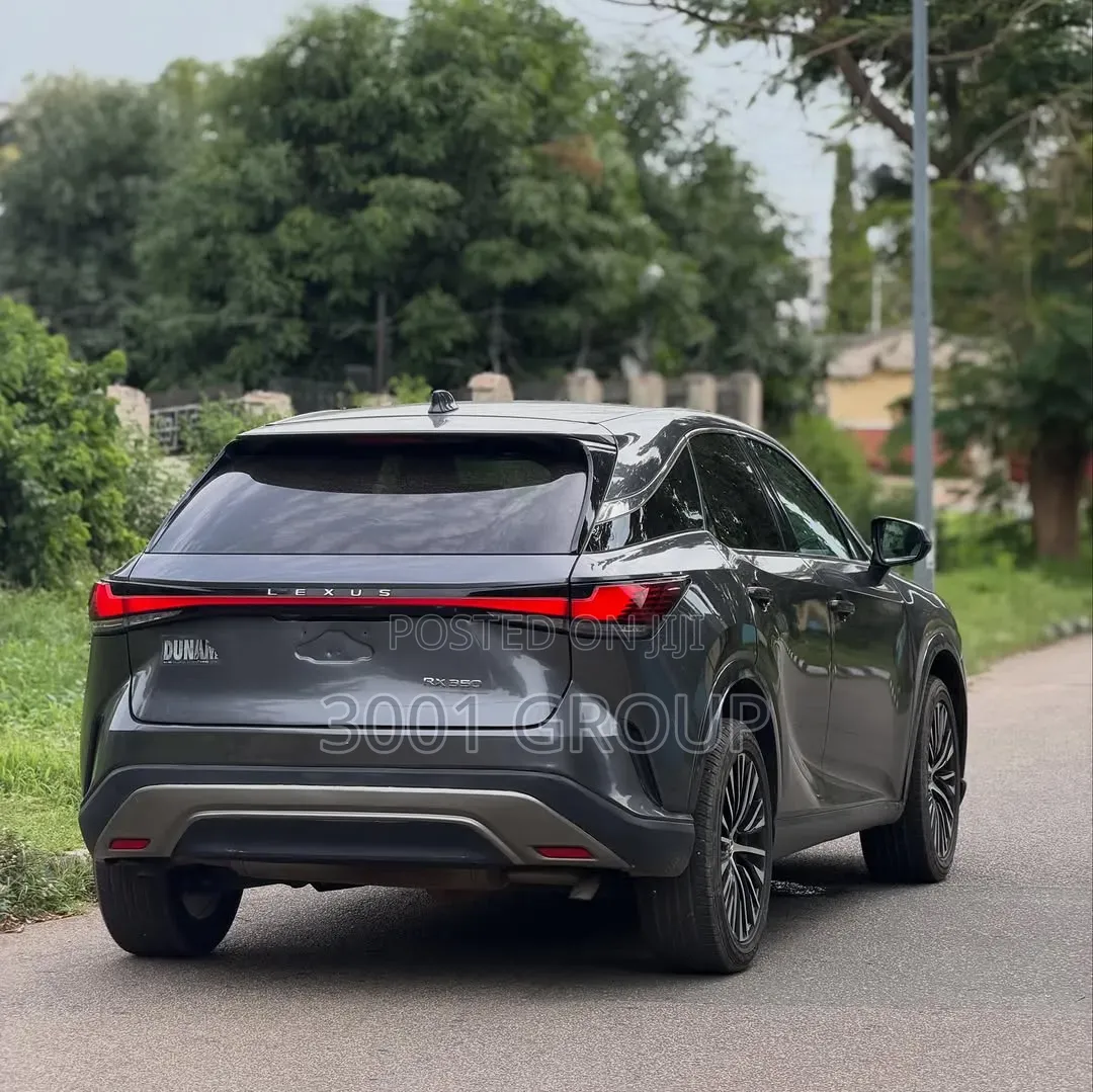 Lexus RX 2024 Gray