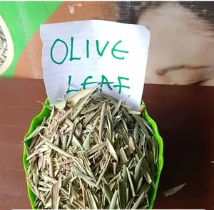 Olive Leaf Tea / Olive Leaf Herb 100g – Immune & Heart Health Support