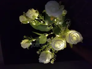 Solar Flower