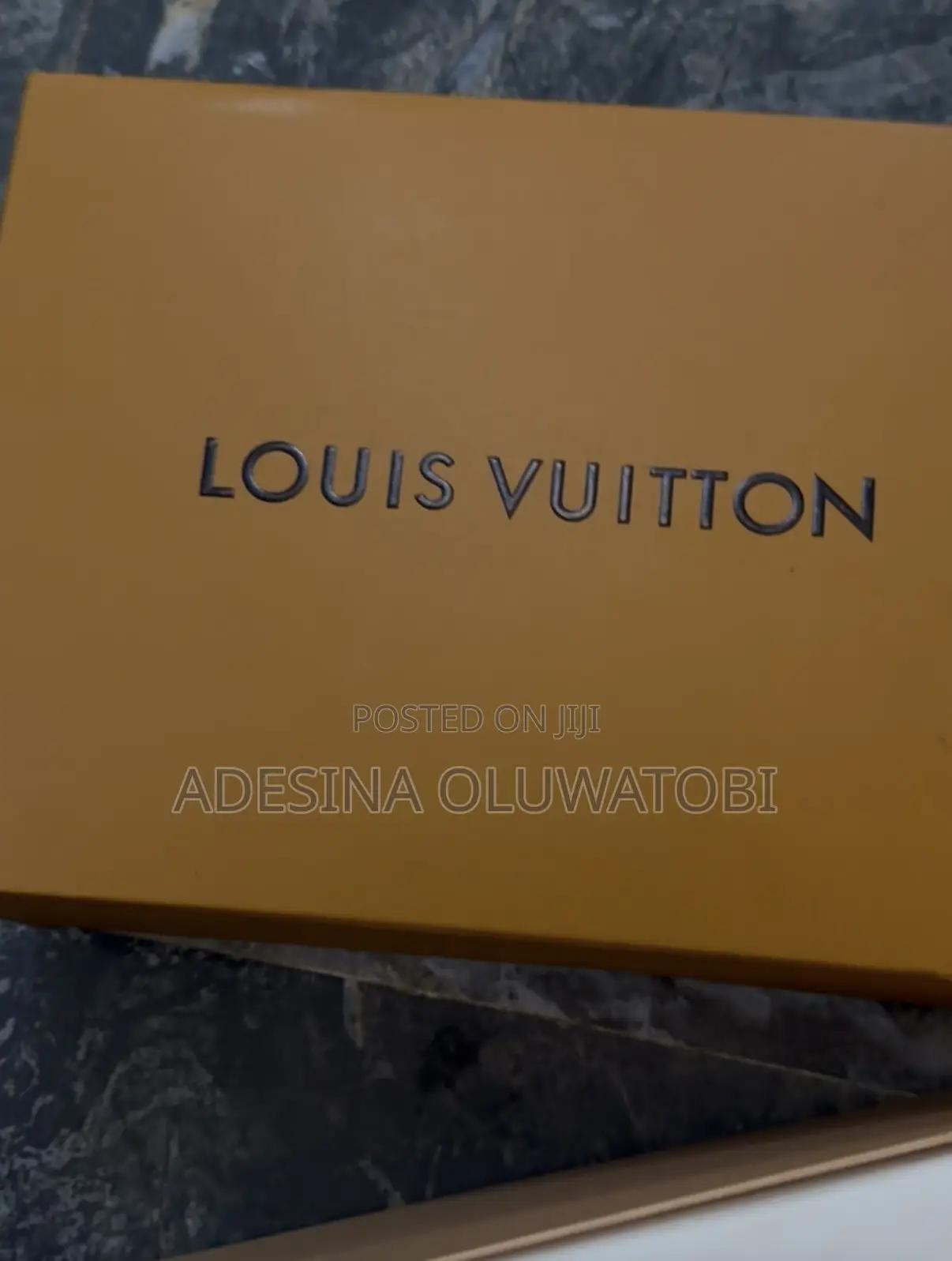 Louis Vuitton Shoes