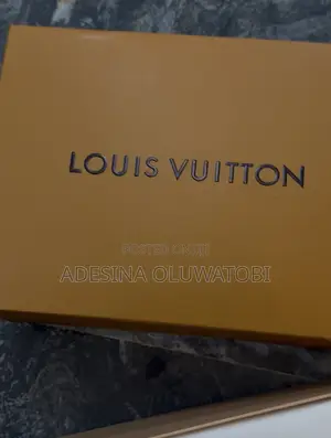 Louis Vuitton Shoes