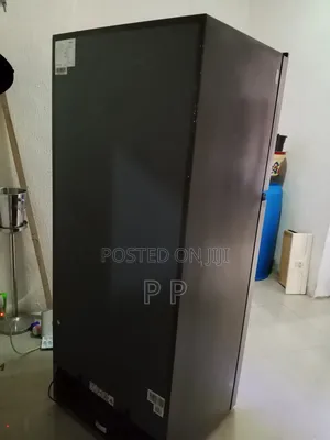 Hisense 375l Double Door Refrigerator