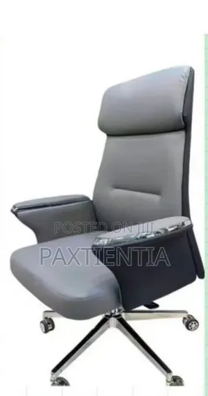 Executive Office Chair (Restocked)