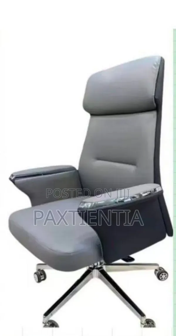 Executive Office Chair (Restocked)