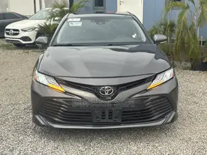 Toyota Camry XLE (2.5L 4cyl 8A) 2019 Gray