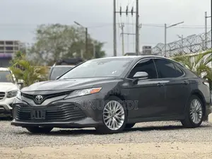 Toyota Camry XLE (2.5L 4cyl 8A) 2019 Gray