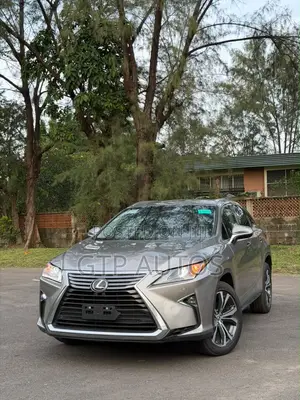 Lexus RX 2019 Gray
