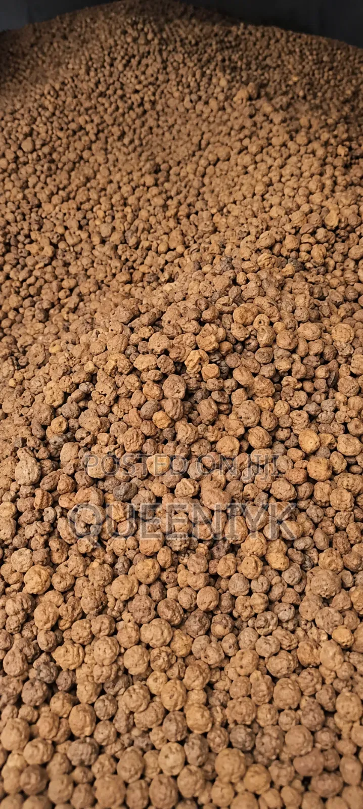 Premiym Dry Tiger Nut