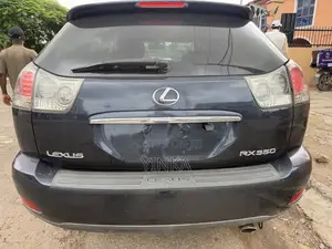 Lexus RX 2007 Gray