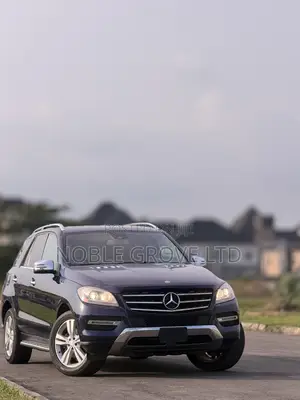 Mercedes-Benz M Class ML350 4MATIC 4dr SUV AWD (3.5L 6cyl 7A) 2014 Blue